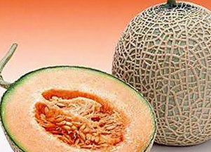 国产分类视频崛起：多元题材引发新热潮