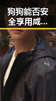 狗狗能否安全享用咸瓜？夏日宠物小百科