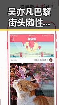吴亦凡巴黎街头随性潮范儿，帅气依旧让人心动！🌟