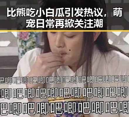 比熊吃小白瓜引发热议，萌宠日常再掀关注潮